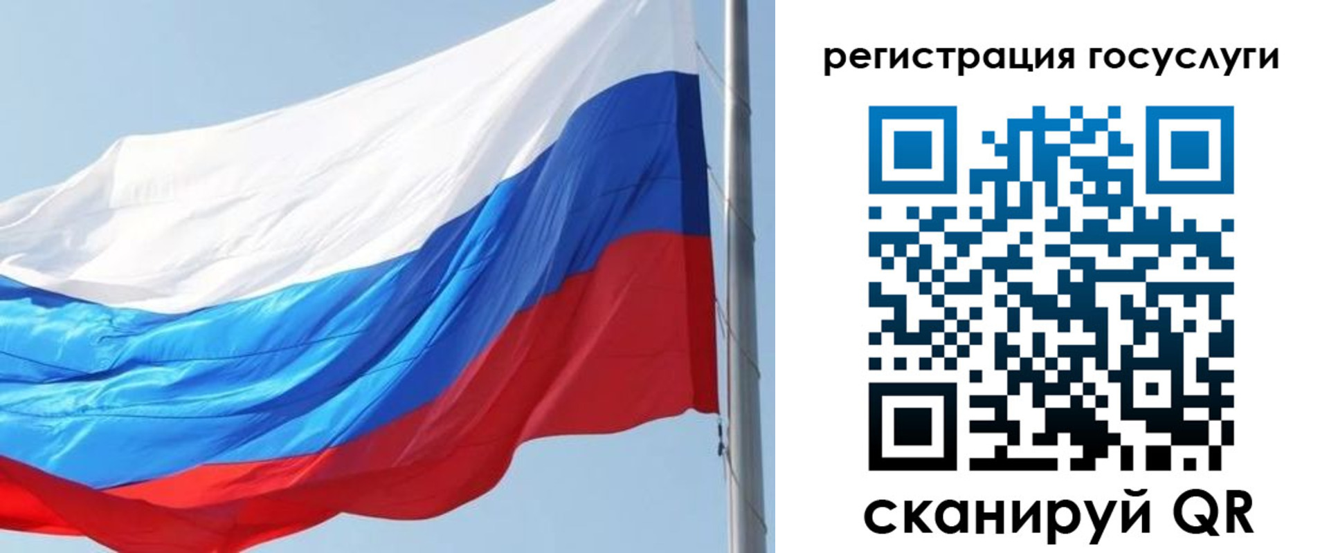 прописка в квартире в Нововоронеже